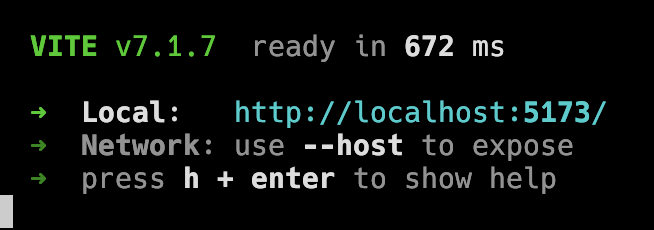 screenshot-vite-startup